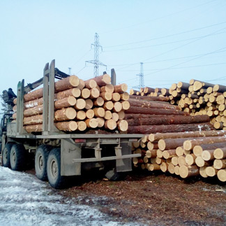 Строим из хвойного леса Псковской обл., преимущественно зимней заготовки. Отбираем лучший ровный здоровый лес